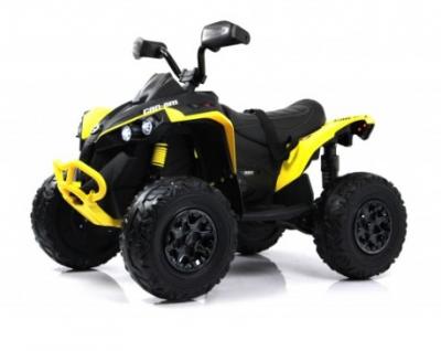 Детский электроквадроцикл BRP Can-Am Renegade (Y333YY)