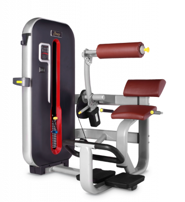Разгибание спины BRONZE GYM MT-009