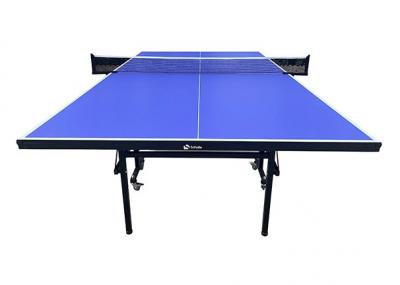 Теннисный стол Scholle TT450 Indoor