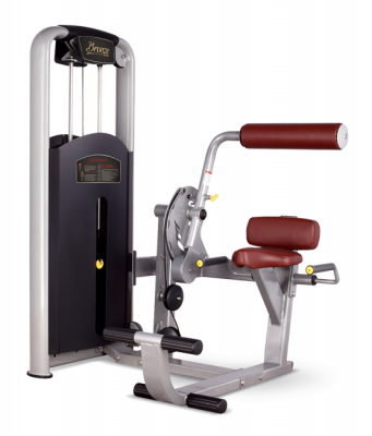 Разгибание спины BRONZE GYM MV-009