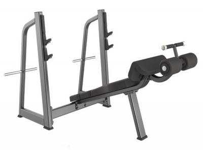 Олимпийская скамья для жима лежа GROME FITNESS GF5041A