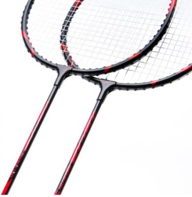 Набор для бадминтона DOUBLE FISH JINQUE 1301/2, 2 ракетки+3 волана+овергрип