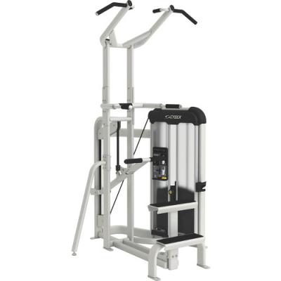 Силовой тренажер Cybex Prestige Турник/Брусья с противовесом