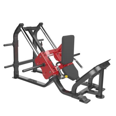 Силовой тренажер AeroFit Sterling SL7021 Гак машина
