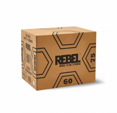Плиометрический бокс 3 в 1 REBEL