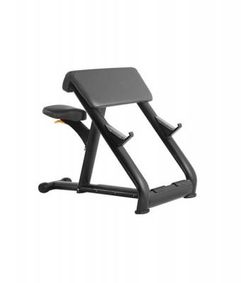 Скамья Скотта BRONZE GYM H-040A