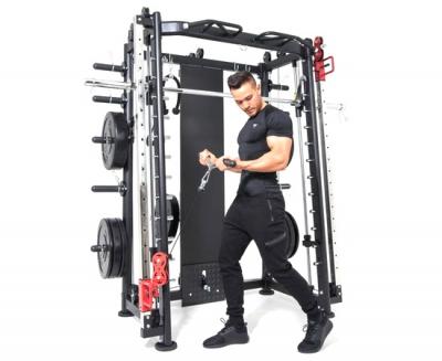 Мультистанция, машина Смита DFC Gorilla Sport 100822