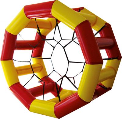 Веселые белки для спортивных игр
