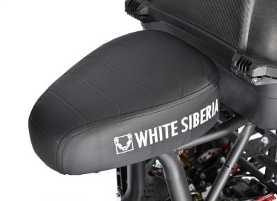 Электротрицикл WHITE SIBERIA TRIKE MINI RED 1500W Шоссейные колёса
