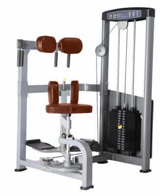 Торс-машина BRONZE GYM D-011
