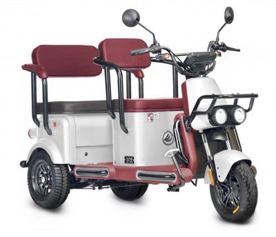Электротрицикл Wanshida U1-X 60V 800Вт