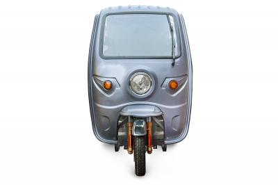 Грузовой электротрицикл Rutrike Глобус 1500 60V/1000W