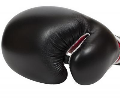 Боксерские перчатки Clinch Fight C133