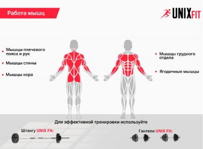 Скамья силовая универсальная UNIX Fit BENCH 130P