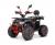 Квадроцикл YACOTA SIRIUS 2000W