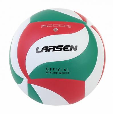 Мяч волейбольный Larsen VB-ECE-5000G
