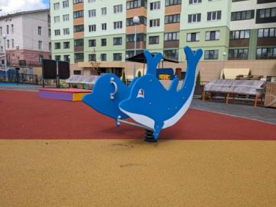 Качалка на пружине Дельфинчик ИО 05230