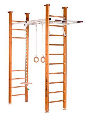 Детский спортивный комплекс (ДСК) Perfetto sport Molto PS-107