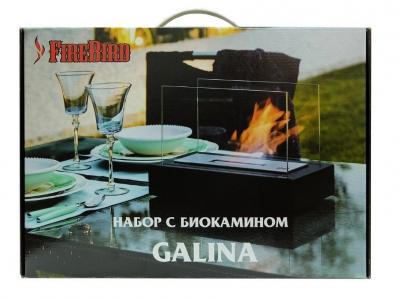 Биокамин GALINA, биотопливо и зажигалка