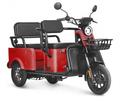 Электротрицикл Wanshida LC-F150 60V 1000Вт
